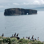 Puffin colony on Lagey overlooking Háey Island