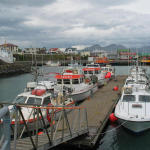 Peaceful Höfn harbor – guarded by the most dangerous inlet in Iceland.