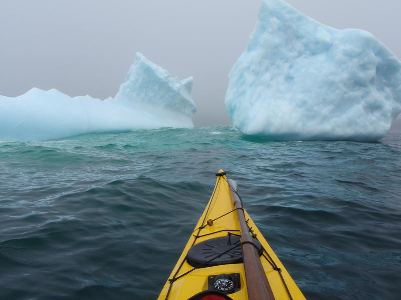 Icebergs are a common sight along Newfoundland’s  “Iceberg Alley”