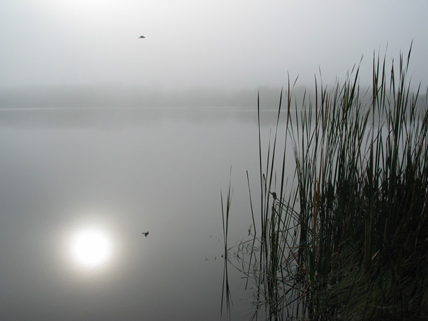 Fog on Lake Destiny