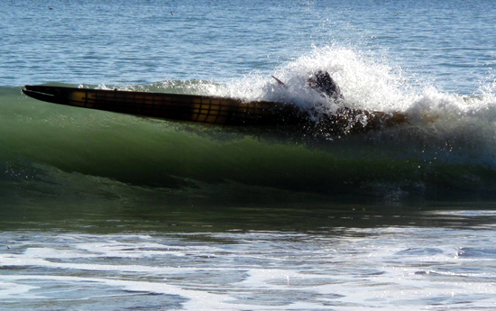 Newfoundland in June 09